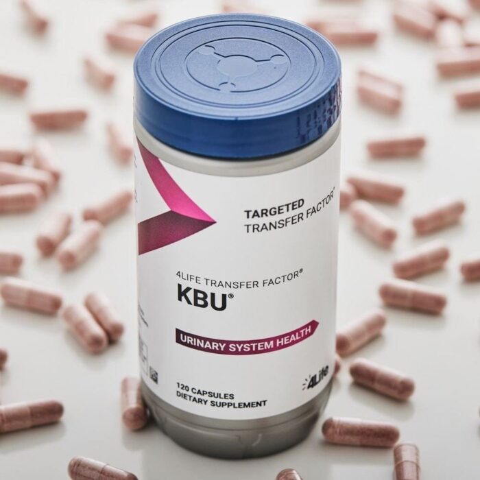 Distribuidor 🚀 Distributor KBU - Imagen 3