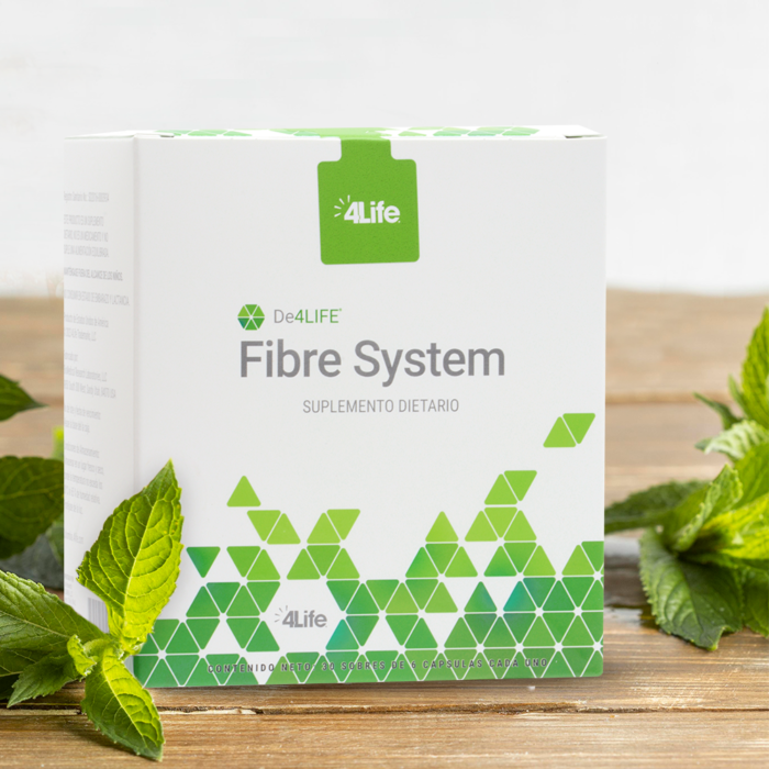 Distribuidor 🚀 Distributor Fibre System Plus - Imagen 3